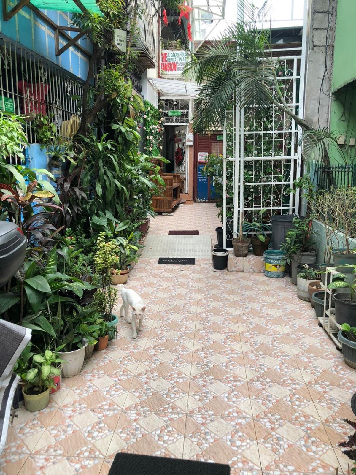 The Mansion - Backpackers Near Airport Apartment Manila Exterior photo